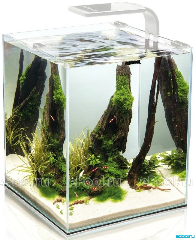 аквариум aquael shrimp set, aquael shrimp set 10, аквариум aquael 10л, аквариум aquael shrimp set smart led plant ii черный 20л