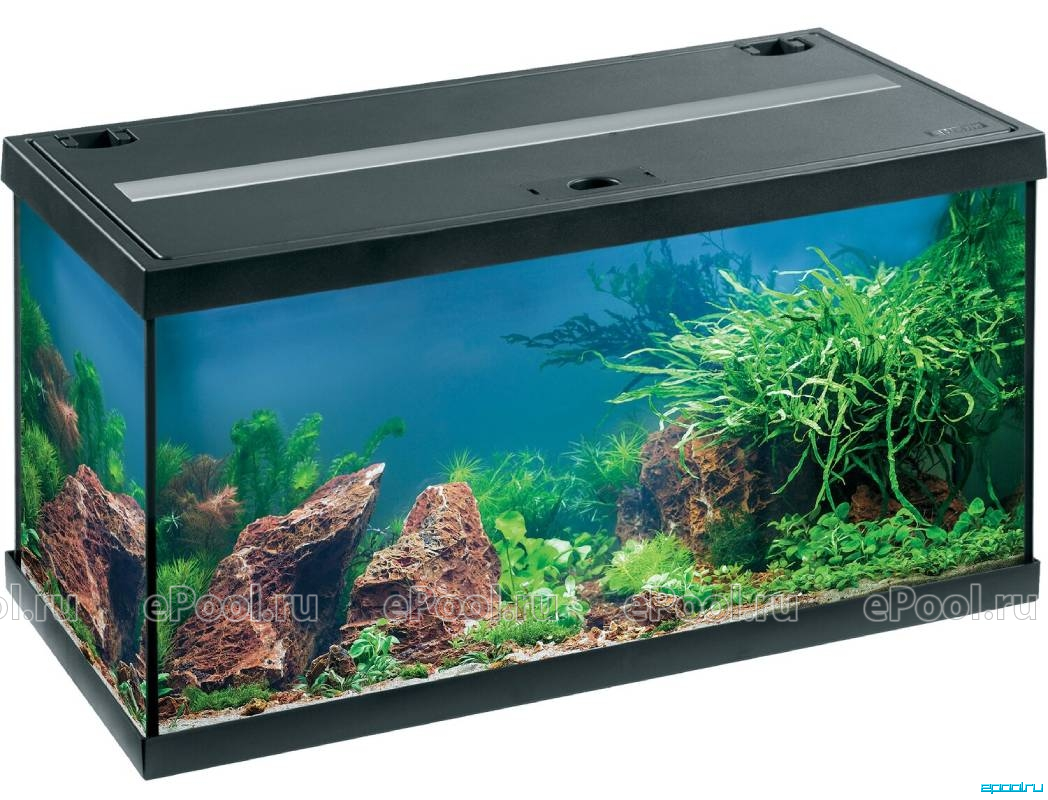 Аквариум Eheim aquastar 54 LED черный 54 л (63x33x36 см) - Купить в  интернет-магазине Epool ☆ Доставка по РФ или самовывоз из ПВЗ - Код товара  85184